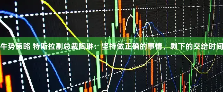 牛势策略 特斯拉副总裁陶琳：坚持做正确的事情，剩下的交给时间