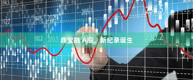 鼎宝融 A股，新纪录诞生