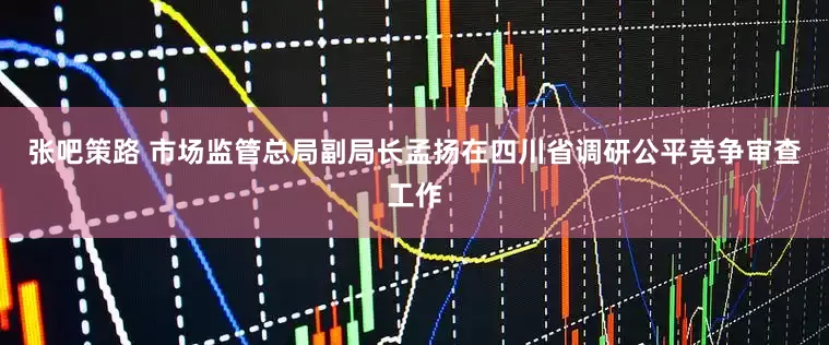 张吧策路 市场监管总局副局长孟扬在四川省调研公平竞争审查工作