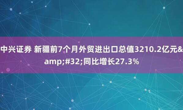 中兴证券 新疆前7个月外贸进出口总值3210.2亿元 同比增长27.3%