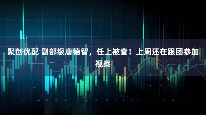 聚创优配 副部级唐德智，任上被查！上周还在跟团参加视察