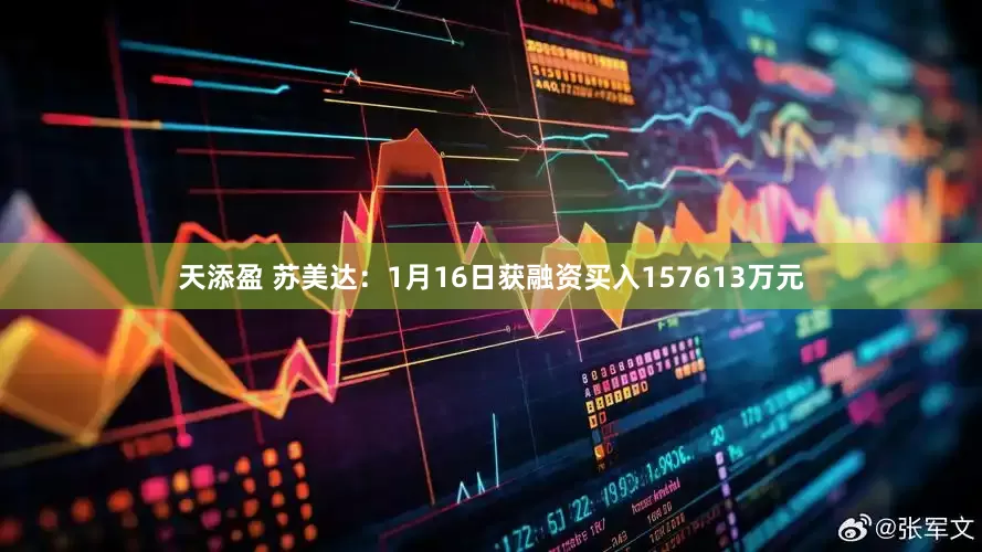 天添盈 苏美达：1月16日获融资买入157613万元